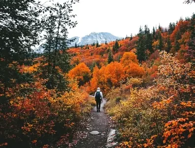 旅行风光